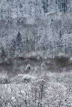 Thumbnail: , Wanderweg Richtung Hohler Stein-Habichtswald, Kassel | (c) Carsten Simon