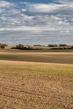 Thumbnail: , Feld-Halbinsel Jasmund, Rügen | (c) Carsten Simon